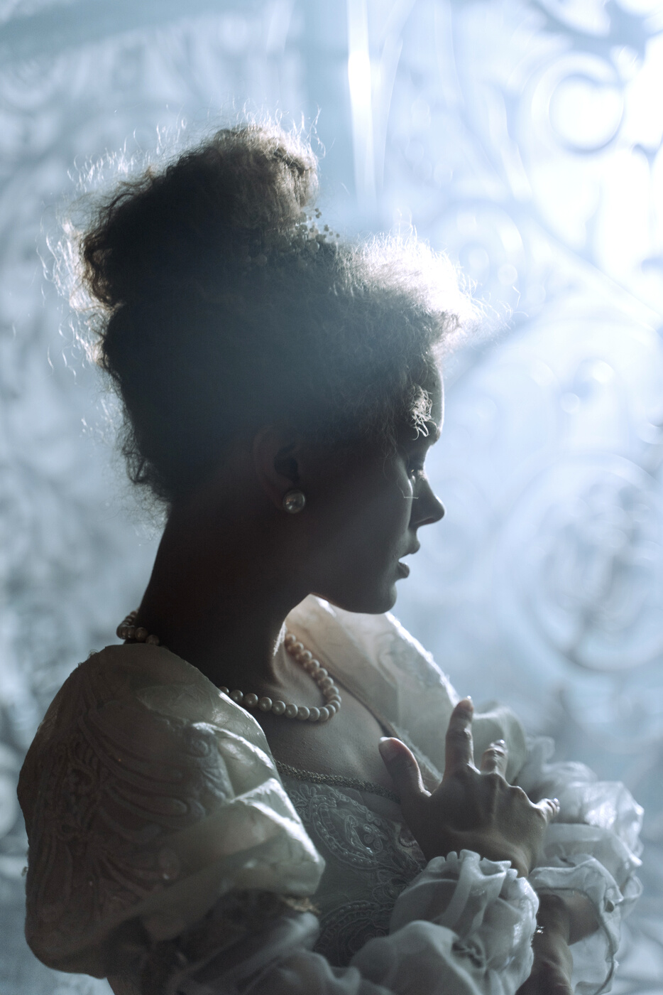 Close-up Photo of a Noble Lady 